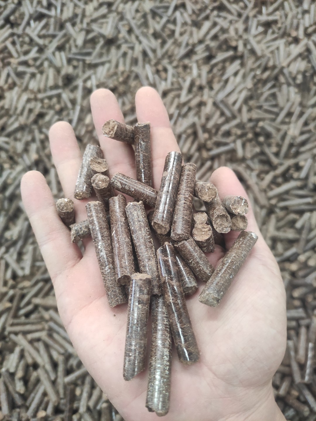 生物質燃料
